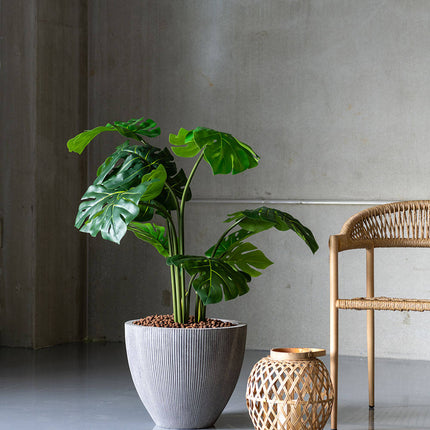 Kunstplant Monstera - ↕120cm