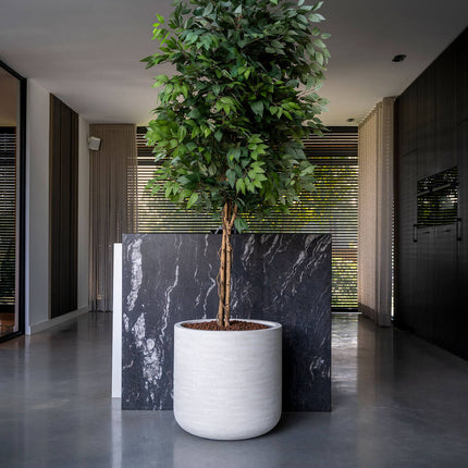 Kunstplant Ficus boom - ↕180cm