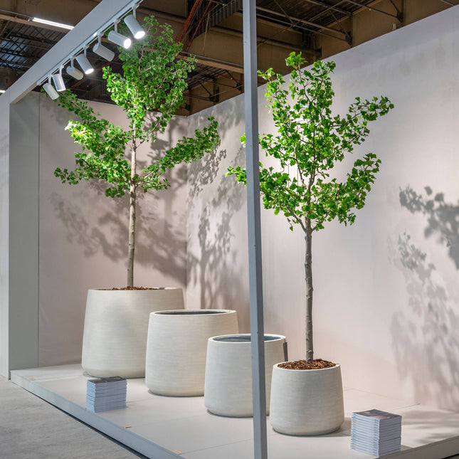 Kunstplant Ginkgo biloba-boom - ↕360cm