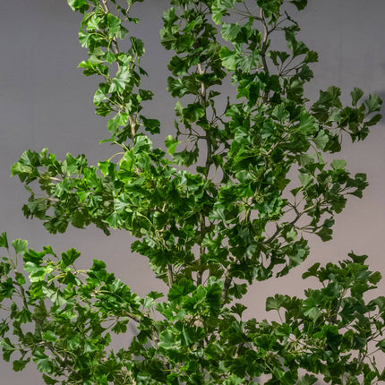 Kunstplant Ginkgo biloba boom - ↕180cm