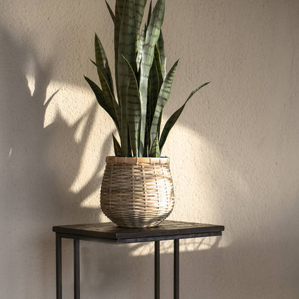 Kunstplant Sansevieria - ↕70cm