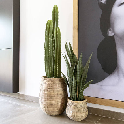 Kunstplant Sansevieria - ↕85cm
