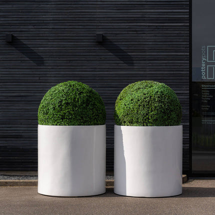 Kunstplant Buxus Rond - ↕52cm
