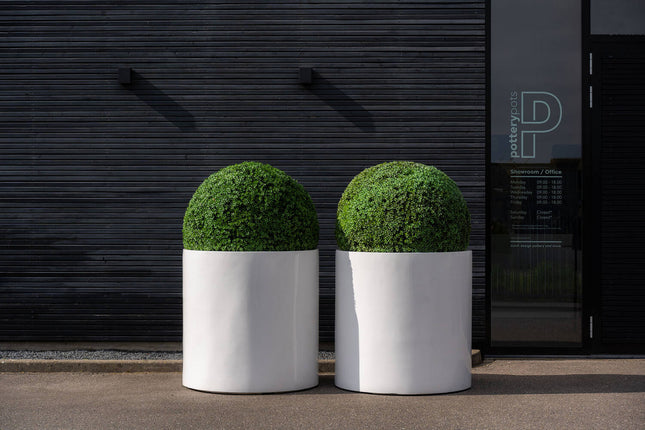 Kunstplant Buxus Rond - ↕52cm