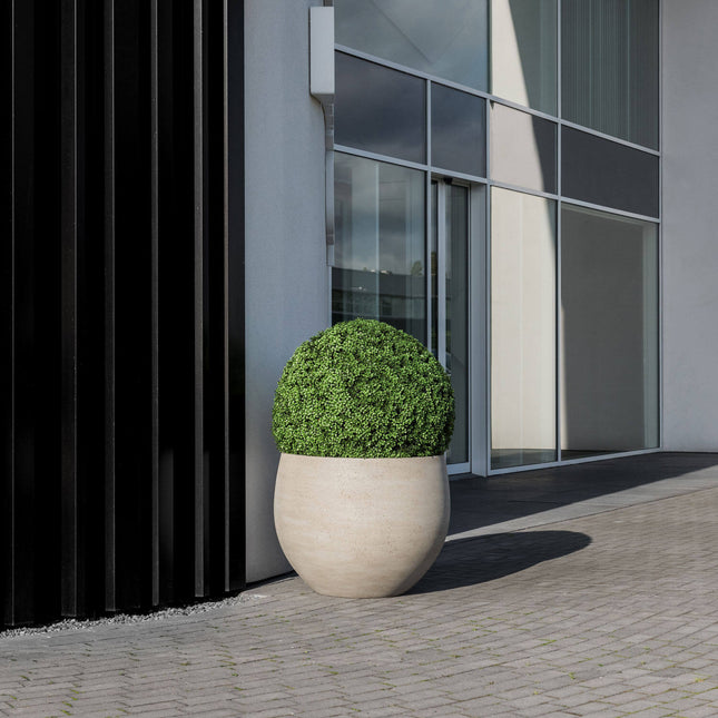Kunstplant Buxus Rond - ↕70cm