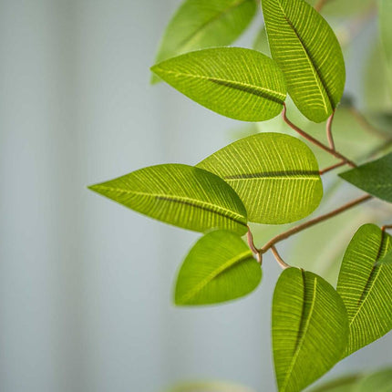 Kunstplant Ficus boom - ↕180cm