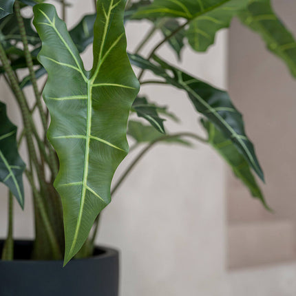 Kunstplant Alocasia Taro - ↕120cm