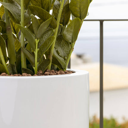 Kunstplant Zamioculcas - ↕90cm