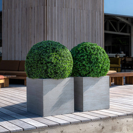 Kunstplant Buxus Rond - ↕52cm