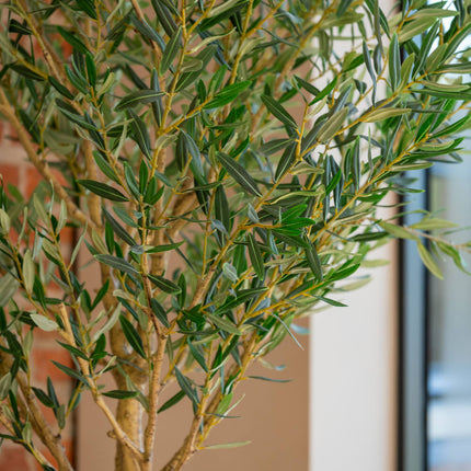 Kunstplant Olea Europaea boom - Olijfboom -  ↕180cm