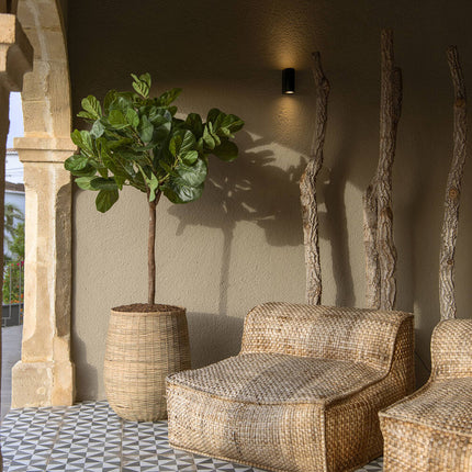 Kunstplant Ficus Lyrata - ↕180cm