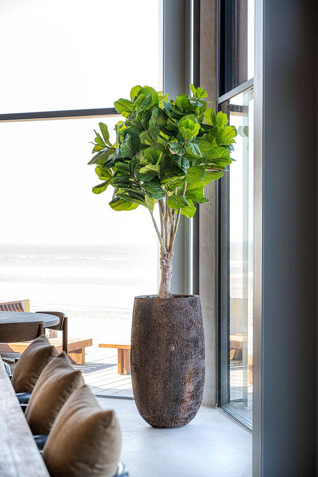Kunstplant Ficus Lyrata - ↕180cm