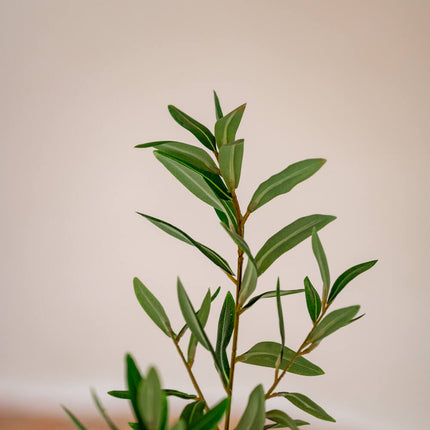 Kunstplant Olea Europaea boom - Olijfboom - ↕240cm