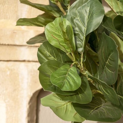 Kunstplant Ficus Lyrata - ↕180cm