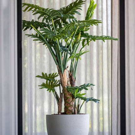 Kunstplant Philodendron - ↕160cm