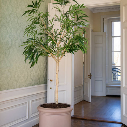 Kunstplant Ficus Alii‑boom - ↕230cm