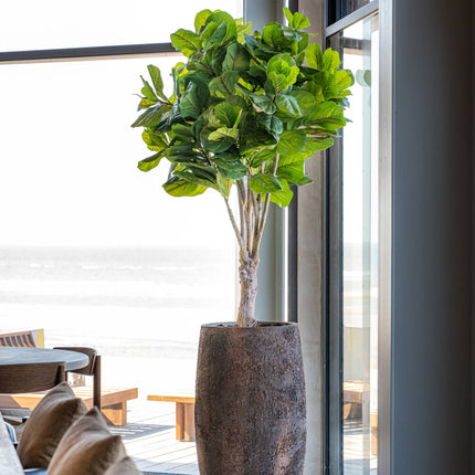 Kunstplant Ficus Lyrata - ↕150cm