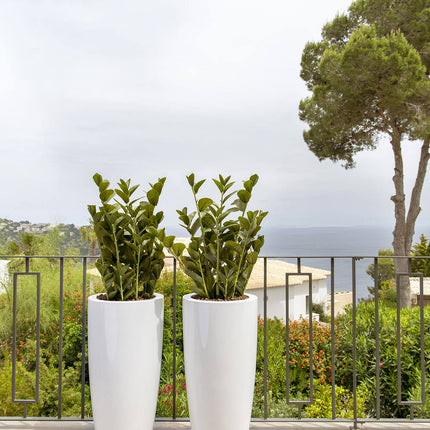 Kunstplant Zamioculcas - ↕90cm