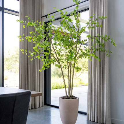 Kunstplant Enkianthus perulatus - ↕240cm