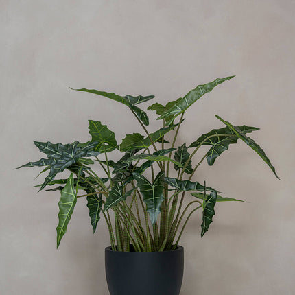 Kunstplant Alocasia Taro - ↕120cm