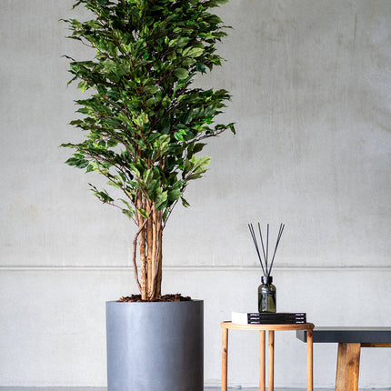 Kunstplant Ficusboom - ↕150cm