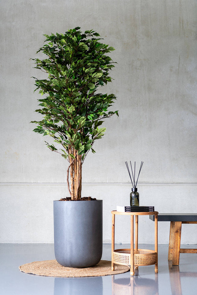 Kunstplant Ficusboom - ↕150cm
