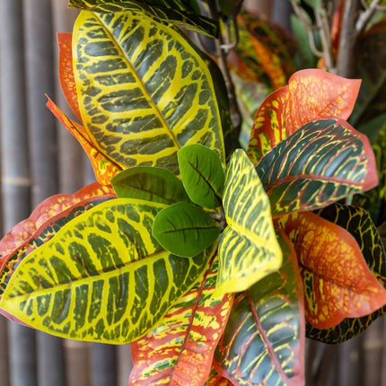 Kunstplant Codiaeum - ↕80cm
