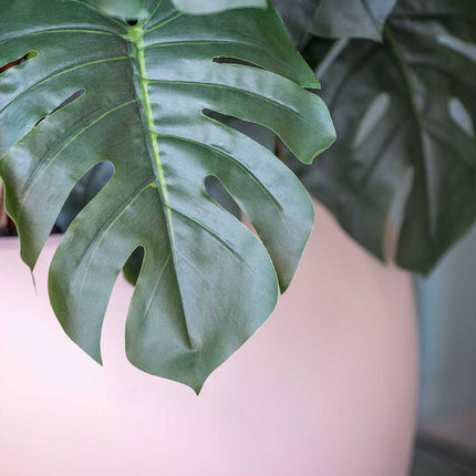 Kunstplant Monstera Pertusum - ↕140cm