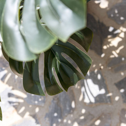 Kunstplant Monstera XXL - ↕180cm