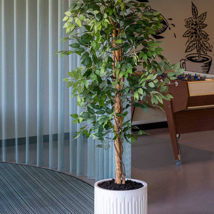 Kunstplant Ficus boom - ↕180cm