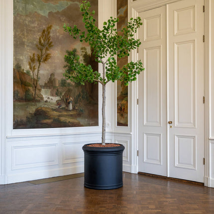 Kunstplant Ginko biloba-boom - ↕270cm