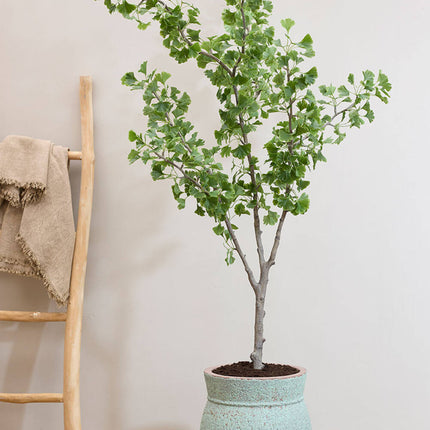 Kunstplant Ginkgo biloba boom - ↕180cm