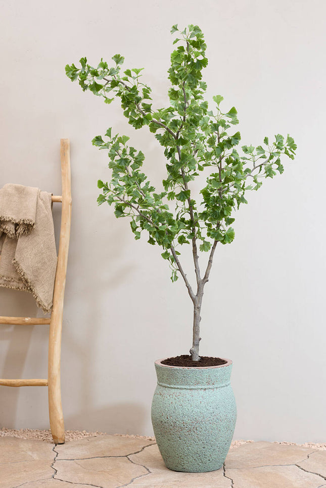 Kunstplant Ginkgo biloba boom - ↕180cm