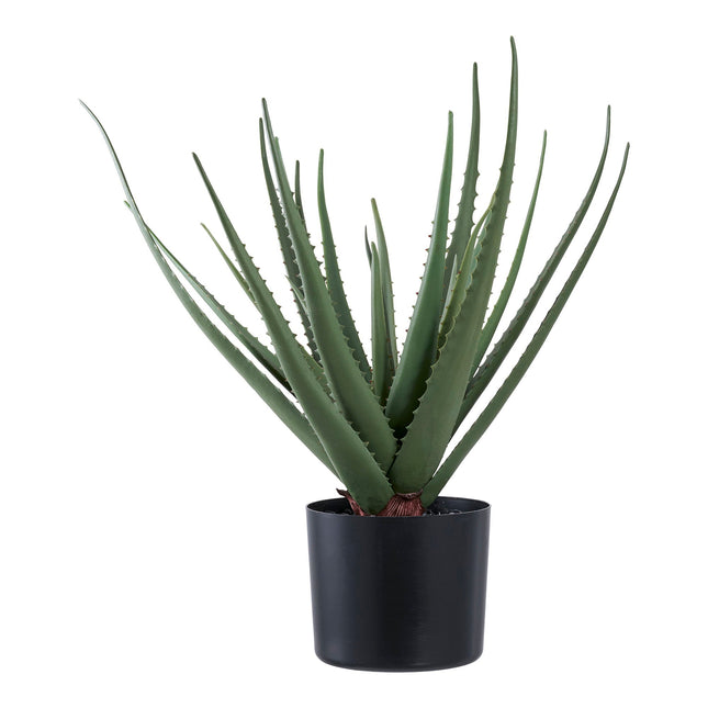 Kunstplant Aloë Vera - ↕51cm