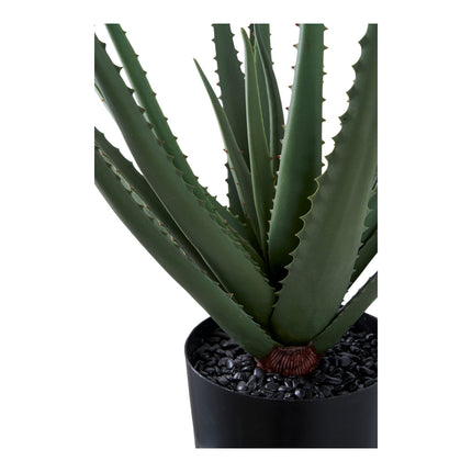 Kunstplant Aloë Vera - ↕51cm