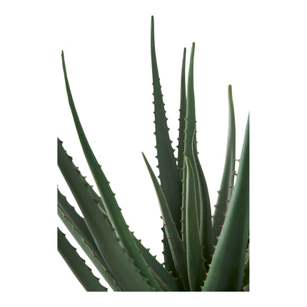 Kunstplant Aloë Vera - ↕51cm