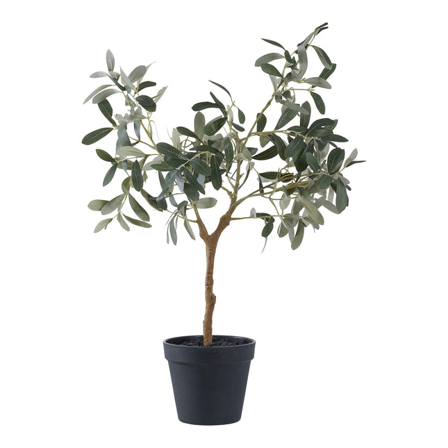Kunstplant Olijfboom - ↕61cm