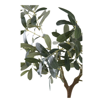 Kunstplant Olijfboom - ↕61cm
