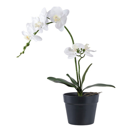 Kunstplant Orchidee - ↕49cm