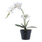 Kunstplant met bloemen