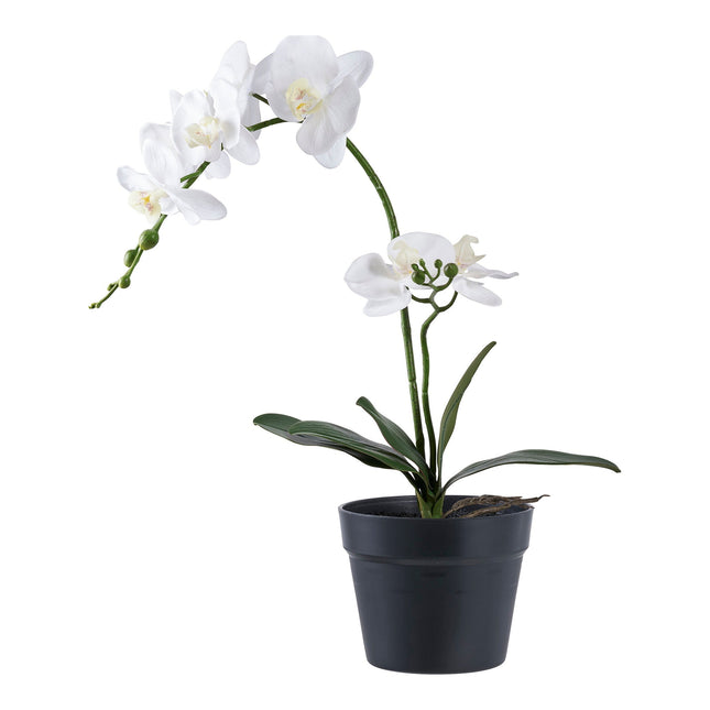 Kunstplant Orchidee - ↕49cm