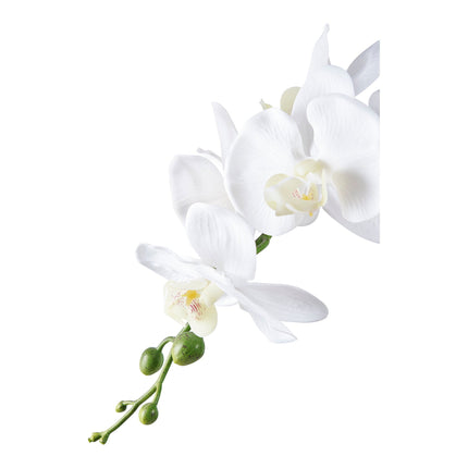 Kunstplant Orchidee - ↕49cm