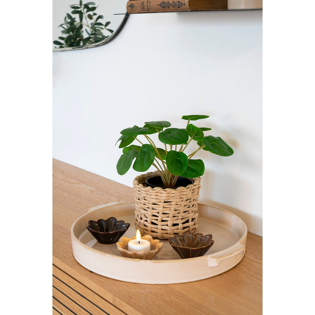 Kunstplant Pilea - ↕28cm