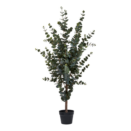 Kunstplant Eucalyptusboom - ↕120cm