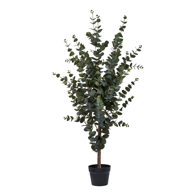 Kunstplant Eucalyptusboom - ↕120cm