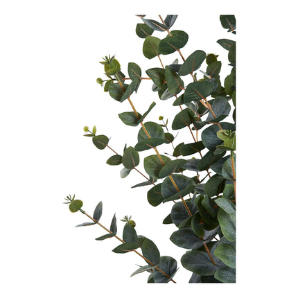 Kunstplant Eucalyptusboom - ↕120cm