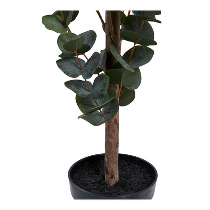 Kunstplant Eucalyptusboom - ↕120cm