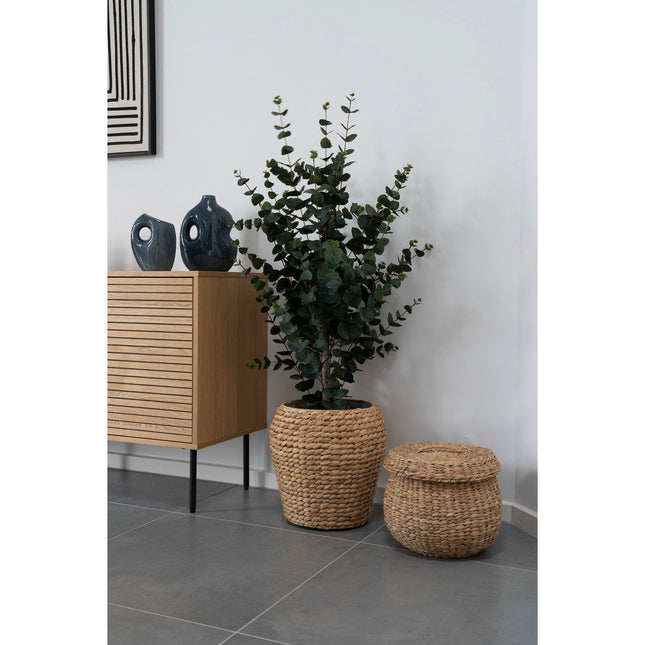 Kunstplant Eucalyptusboom - ↕120cm