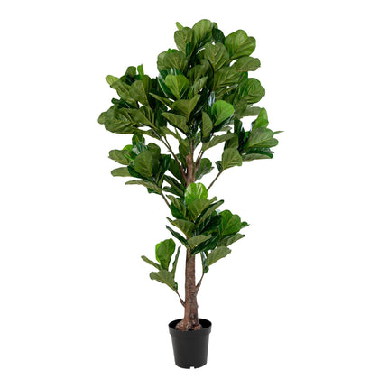 Kunstplant Ficus - Vioolbladplant - ↕190cm