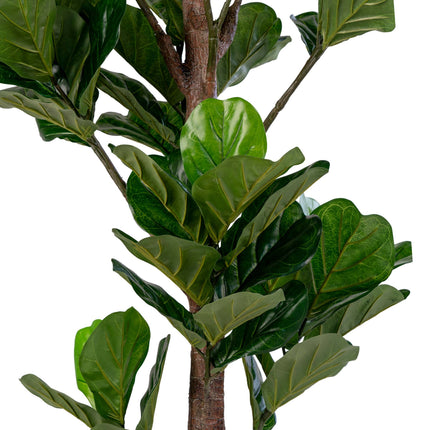 Kunstplant Ficus - Vioolbladplant - ↕190cm